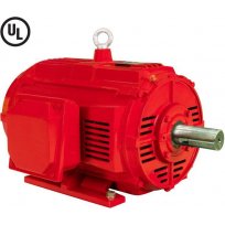 Open Drip Proof Motor