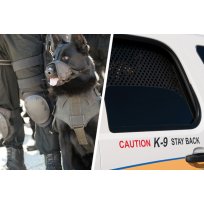 K9 Vehicle